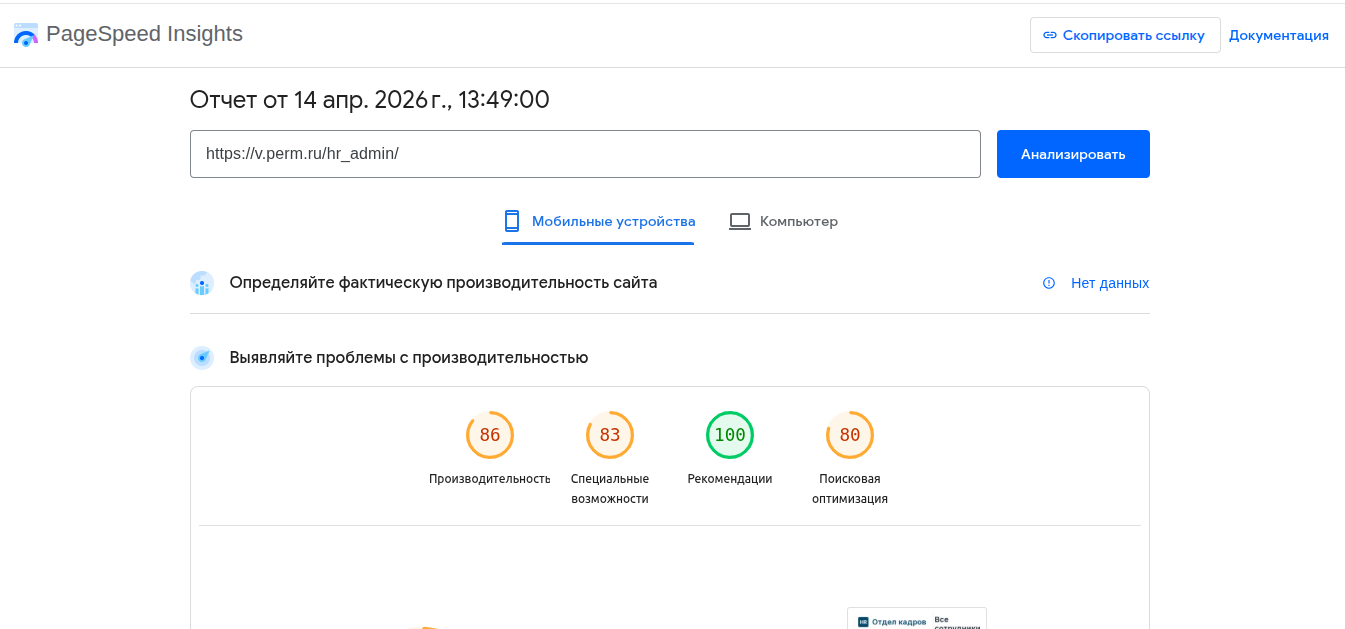 hr_admin/pagespeed/pagespeed_speed1.png